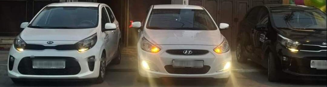 معرض الصور